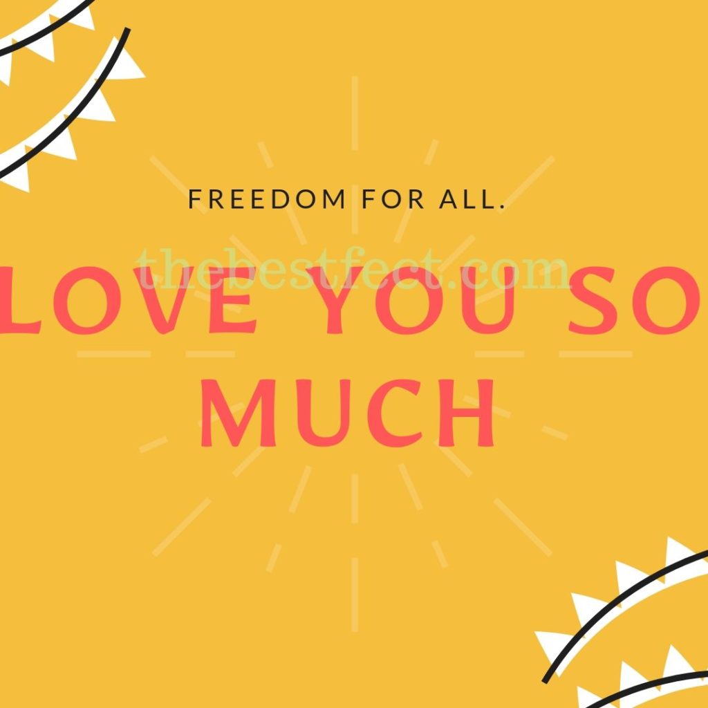 Poster - HD Wallpaper 