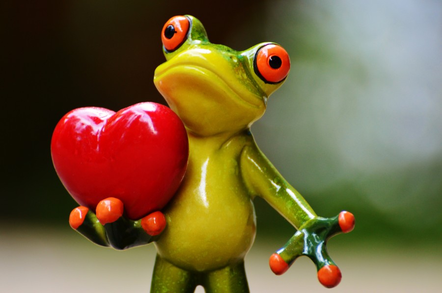 Frog Holding A Heart - HD Wallpaper 