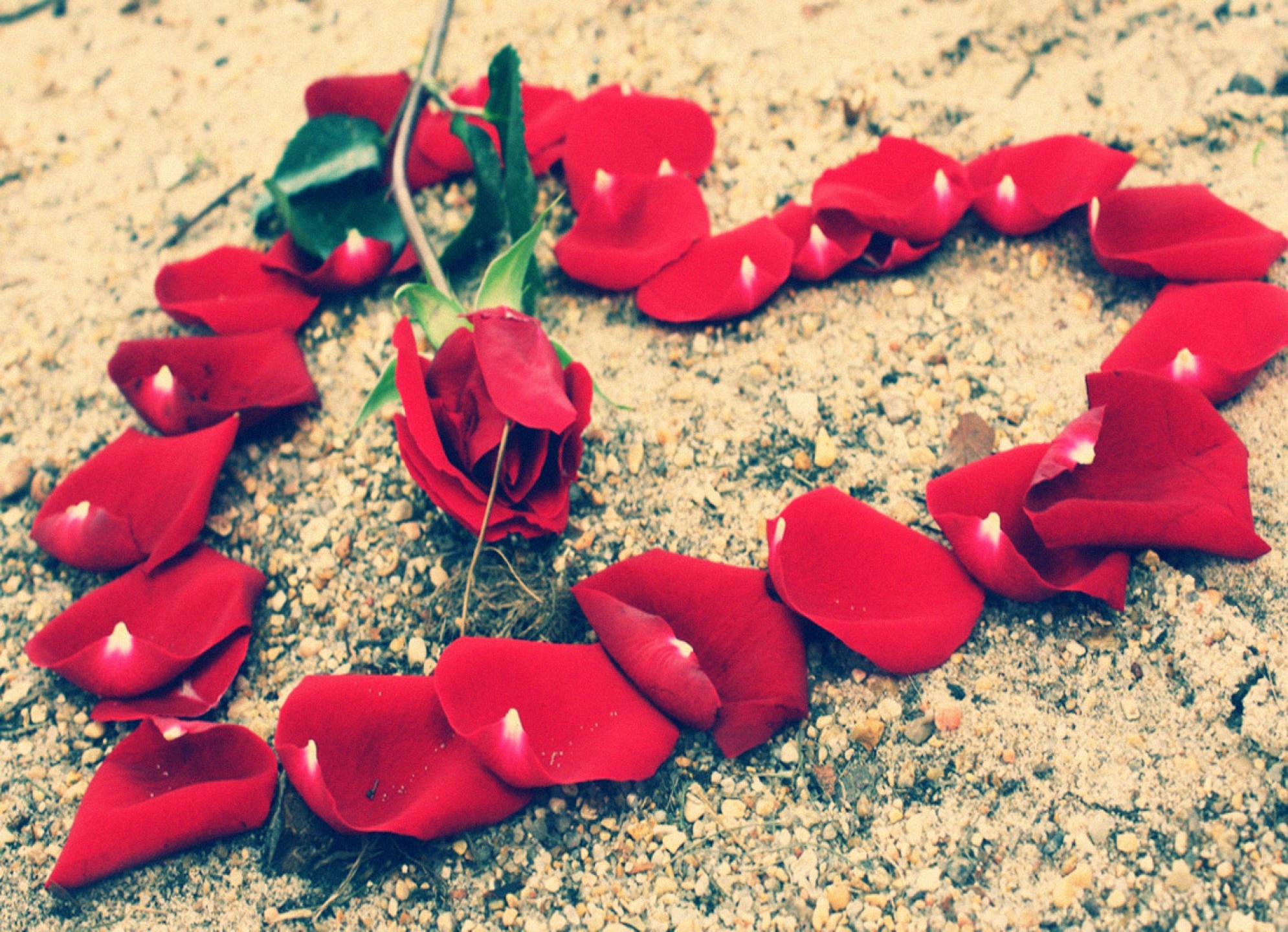 Love Images - Heart Wallpaper Cute Love - 1990x1440 Wallpaper Love Images - Heart Wallpaper Cute Love - 1990x1440 Wallpaper
