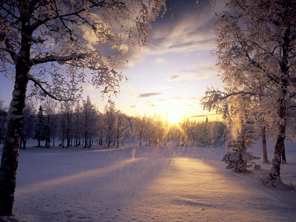 Fresh Snow - HD Wallpaper 