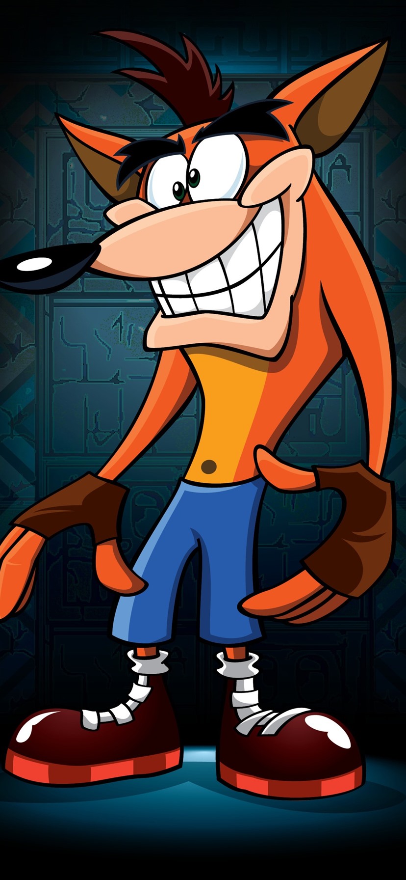 Coco Bandicoot Charles Zembillas - HD Wallpaper 