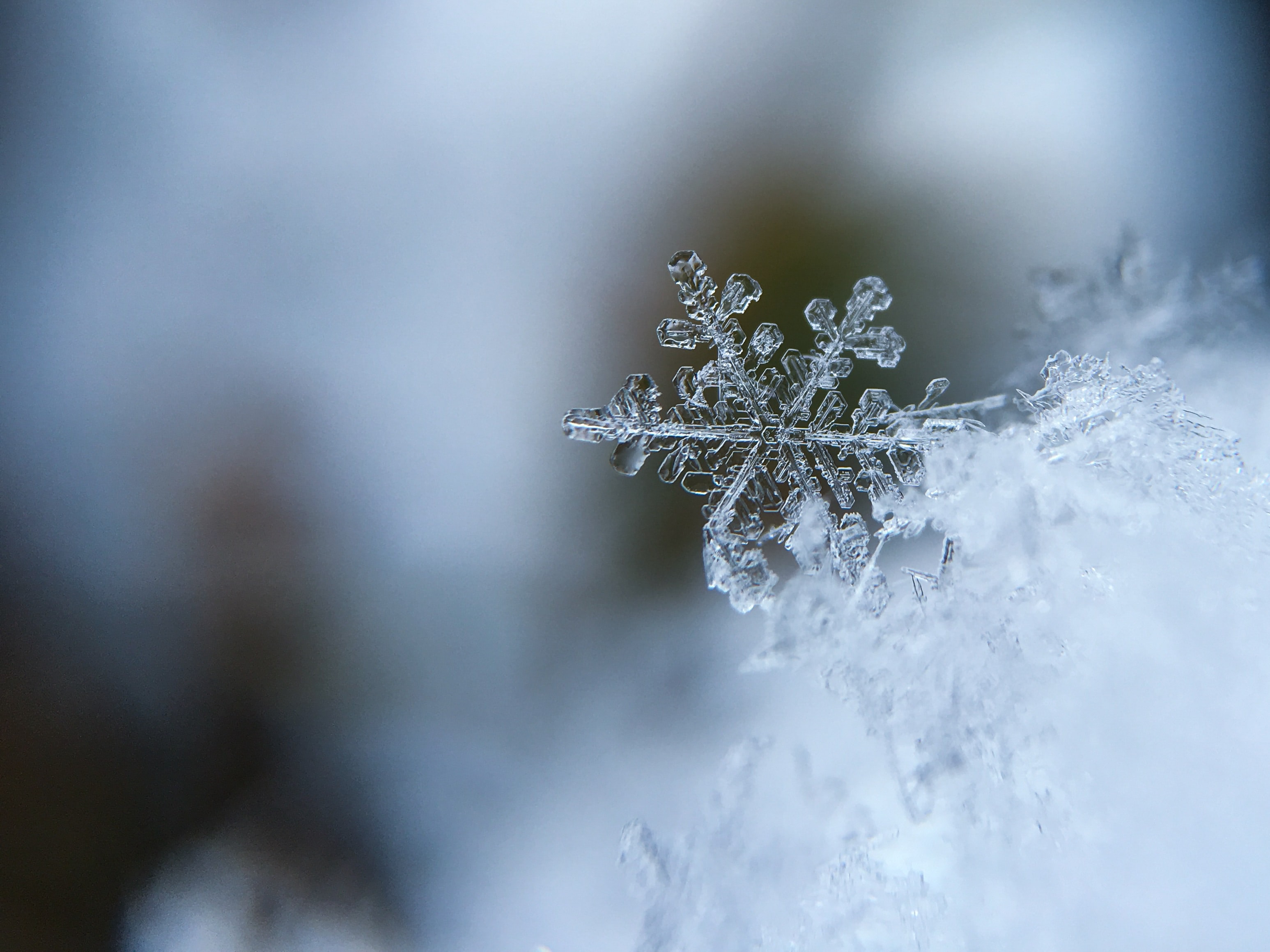 Snowflake Snow Close Up - HD Wallpaper 