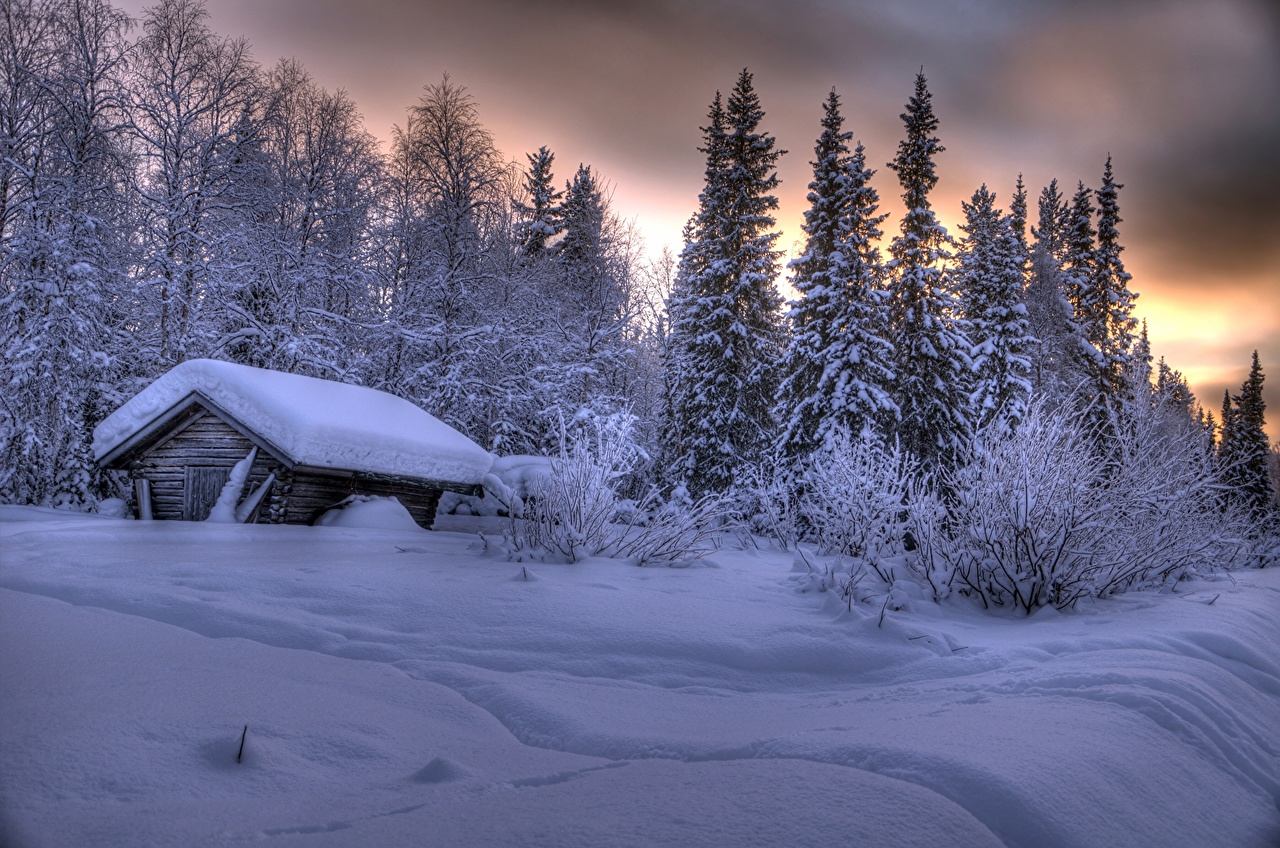 House In The Woods Winter - HD Wallpaper 
