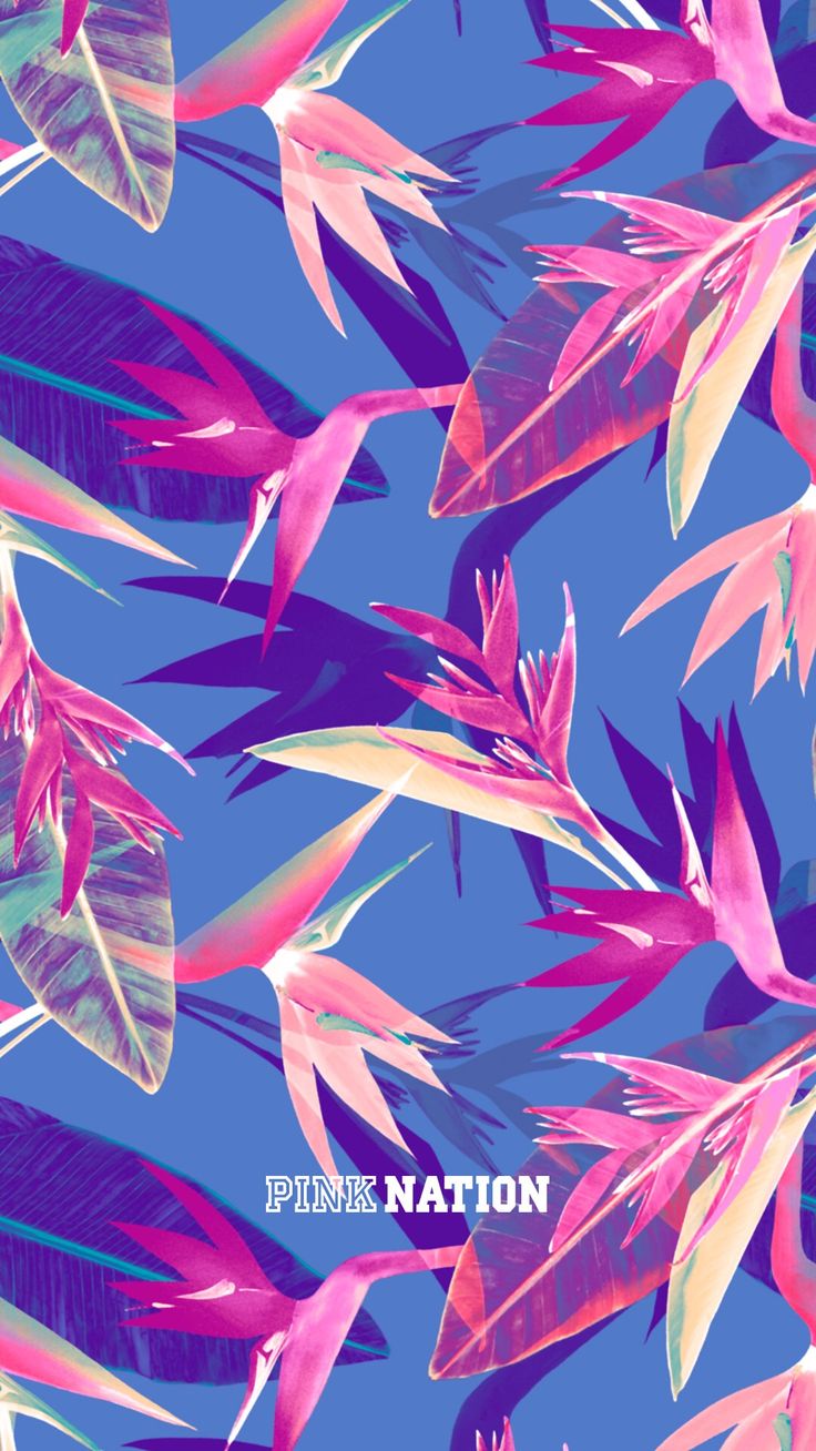 Victoria S Secret Pink Wallpapers Wallpaper Cave Within - Victoria Secret Wallpaper 2018 - HD Wallpaper 