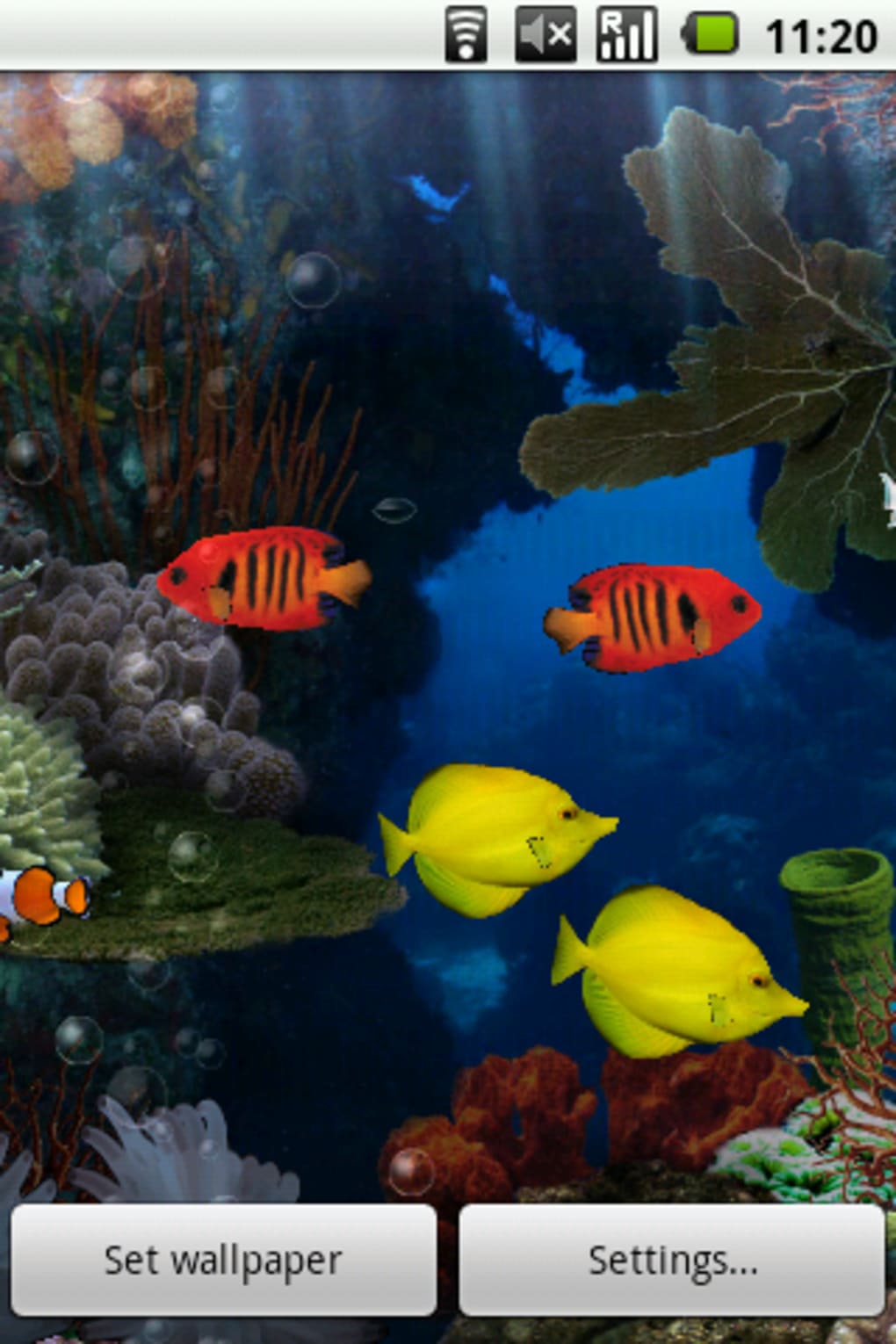 Aquarium Live Wallpaper - Android - HD Wallpaper 
