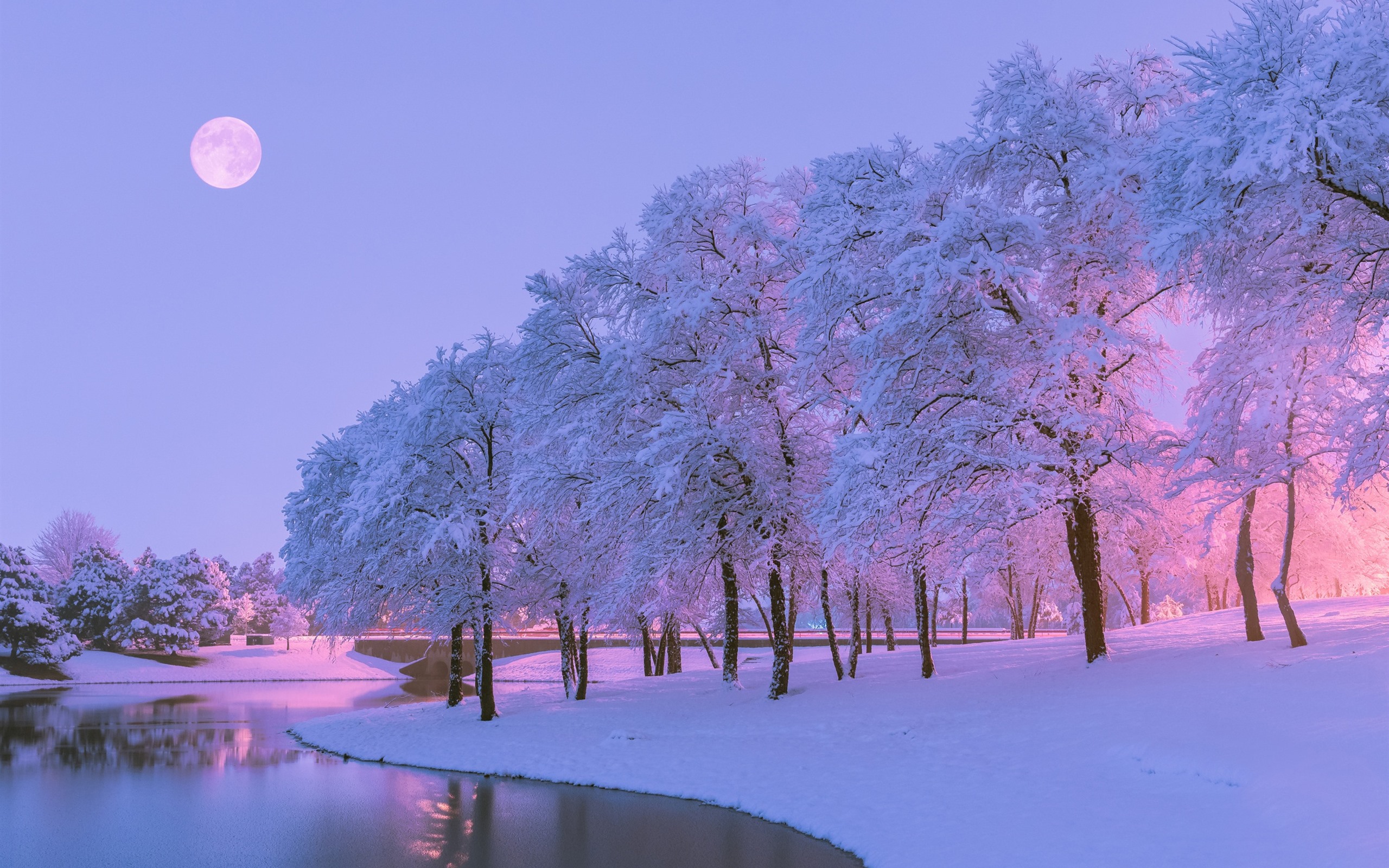 Wallpaper Beautiful Winter, Snow, Trees, River, Moon, - Christmas Blue Pink Aesthetic - HD Wallpaper 