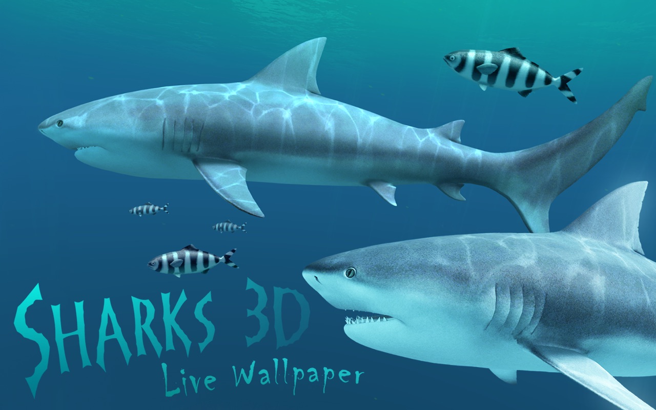 3d Shark - HD Wallpaper 
