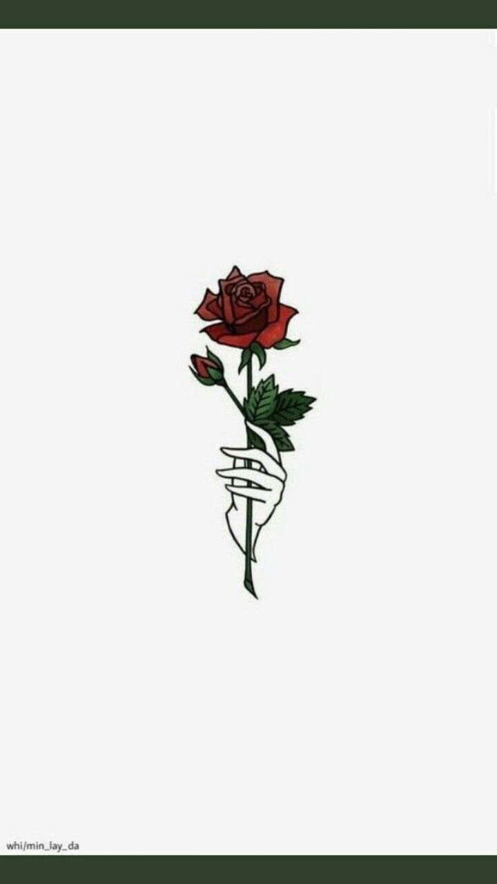 Floribunda - HD Wallpaper 