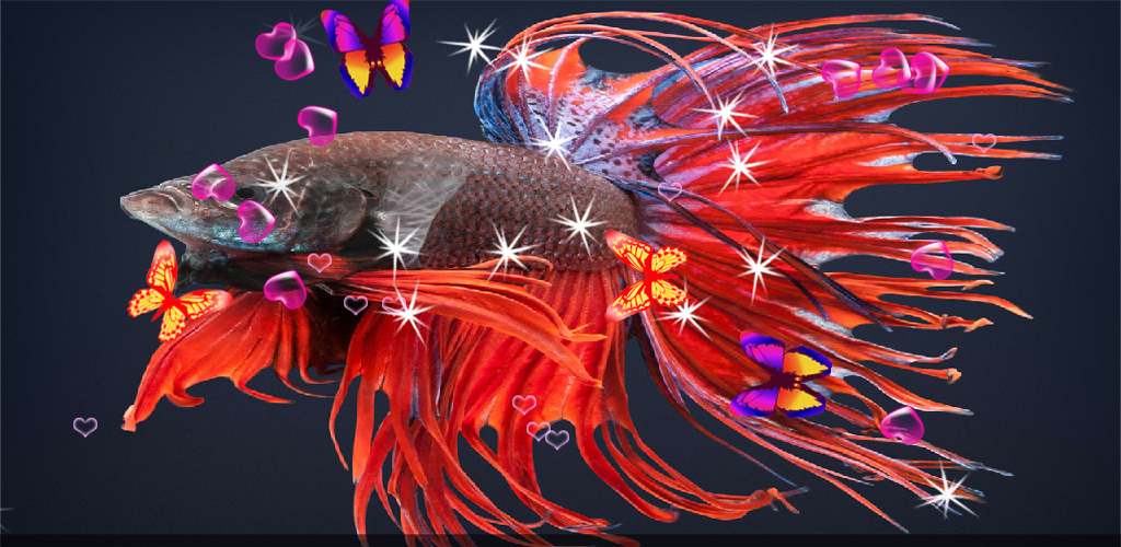 Marine Biology - HD Wallpaper 