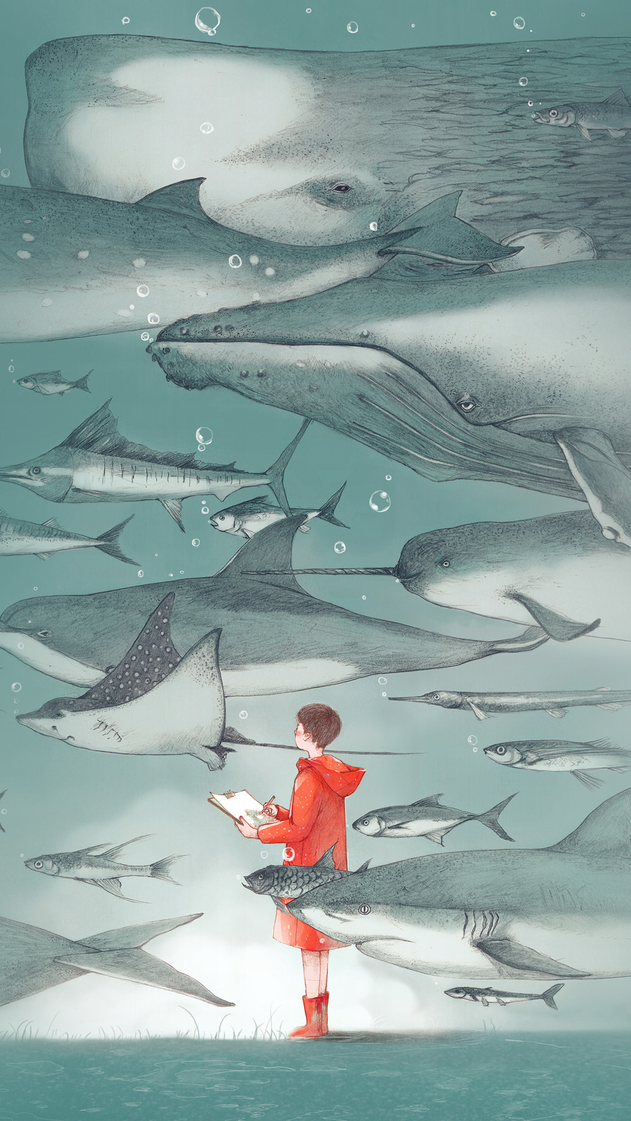 Iphone X Wallpaper Whale - HD Wallpaper 