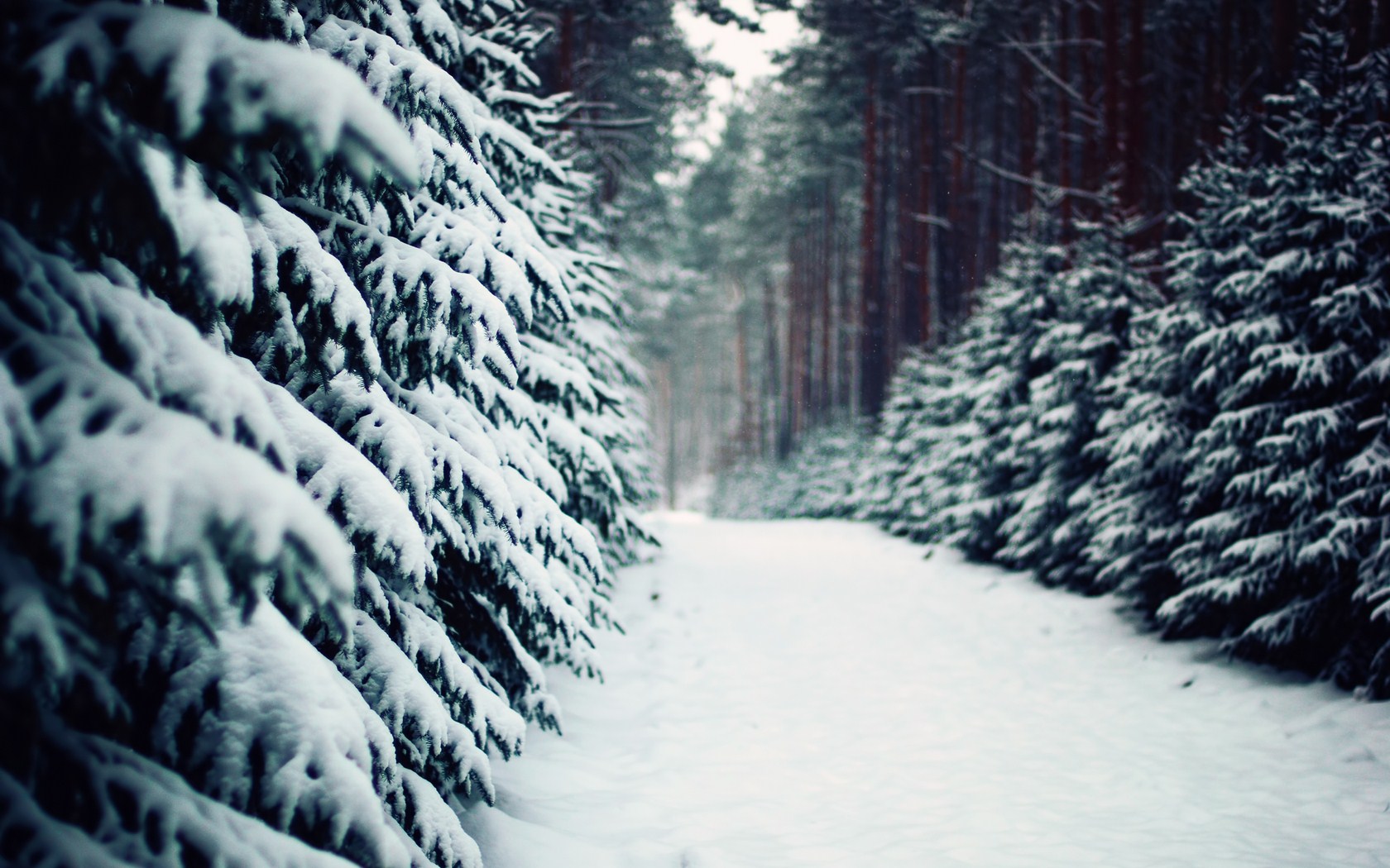 Preview Hd Winter Snow Wallpaper - HD Wallpaper 