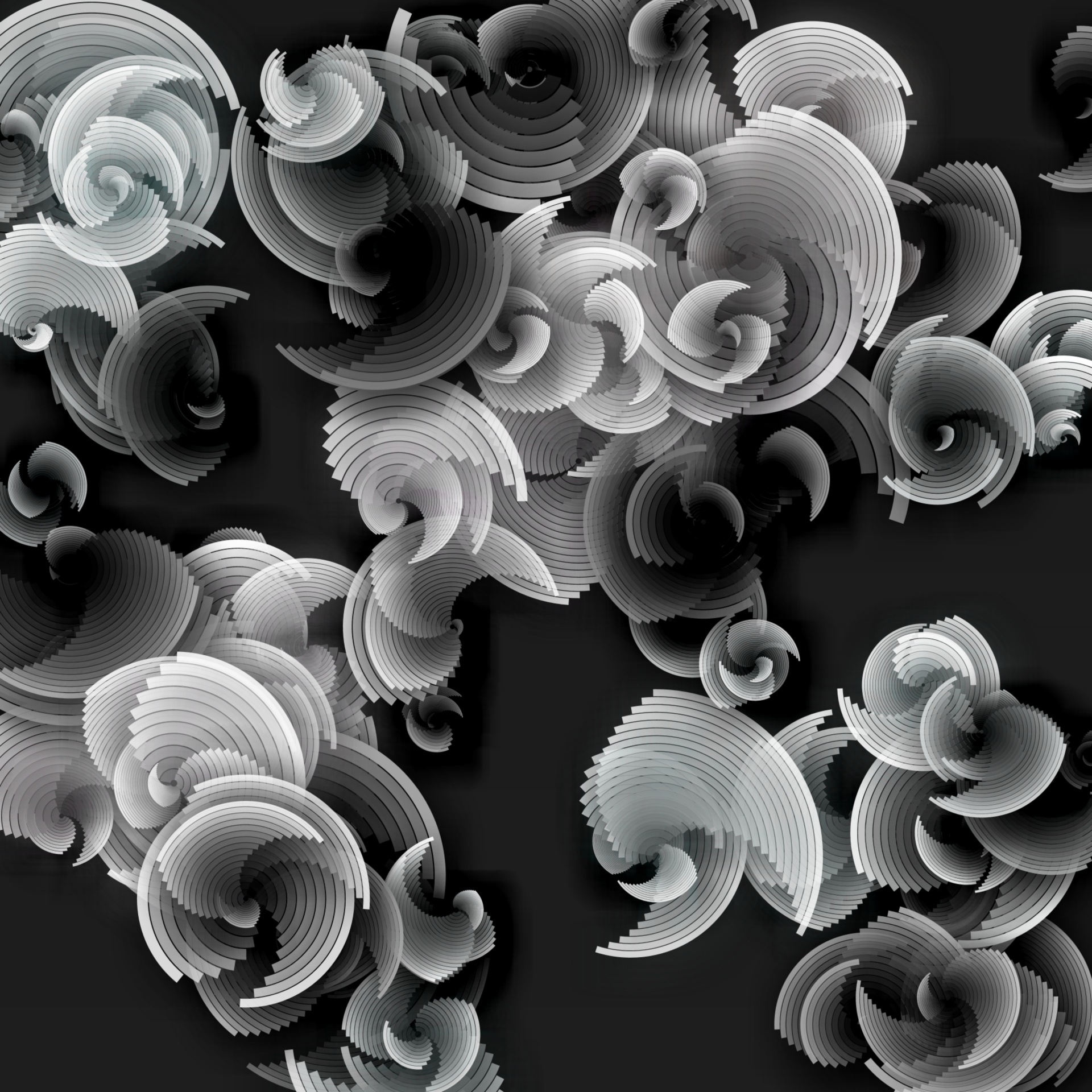 Wallpaper Black White Free Photo - Black And Grey And White Flower - HD Wallpaper 