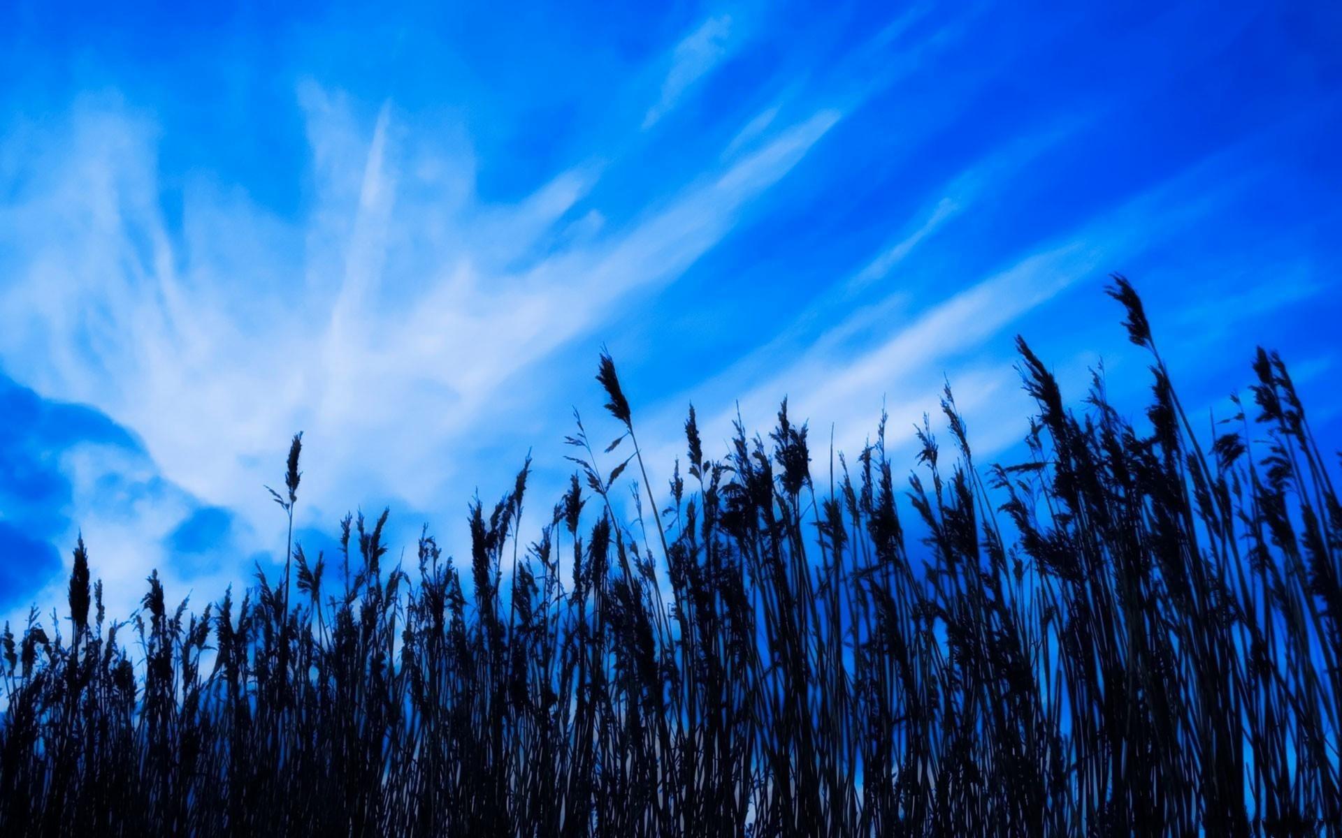 Moving Wallpapers For Windows 7 - Nature Holy Spirit - HD Wallpaper 