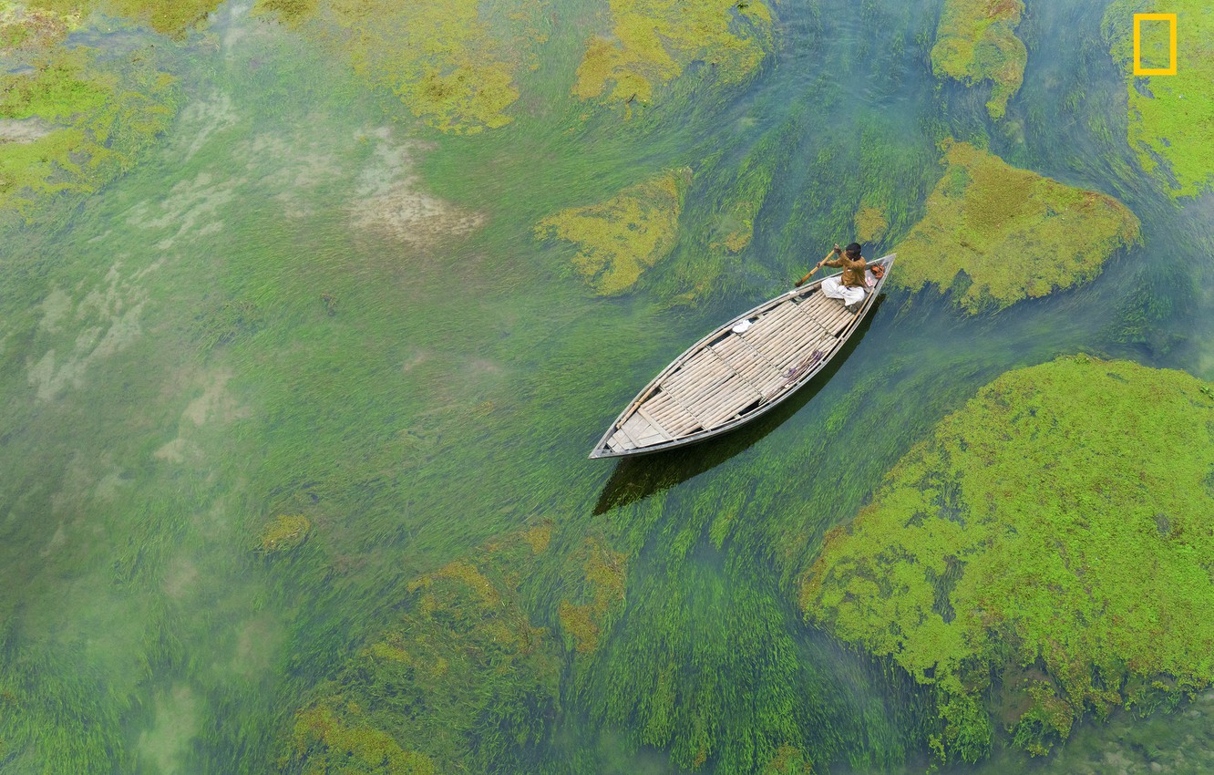 Photo Wallpaper Algae, River, The Boatman, Bangladesh - National Geographic Boat Green River - HD Wallpaper 
