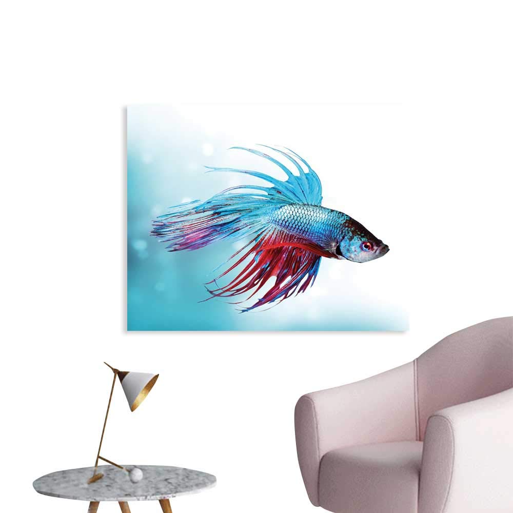 Aquarium Wallpaper Sticker Siamese Fighting Betta Fish - Poster - HD Wallpaper 