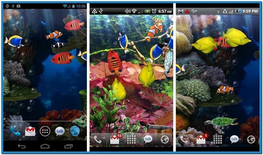 Live Fish Tank Wallpaper - Android - HD Wallpaper 