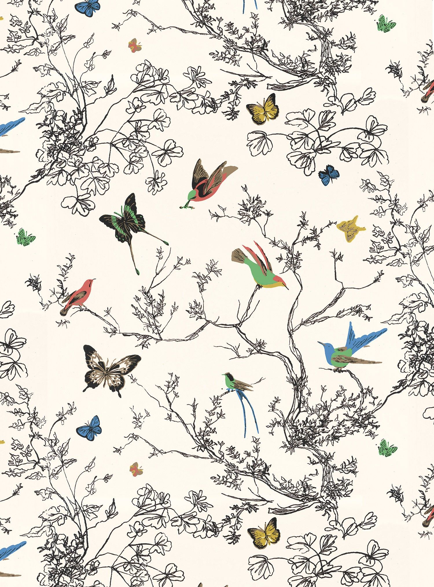 Birds And Butterflies - HD Wallpaper 