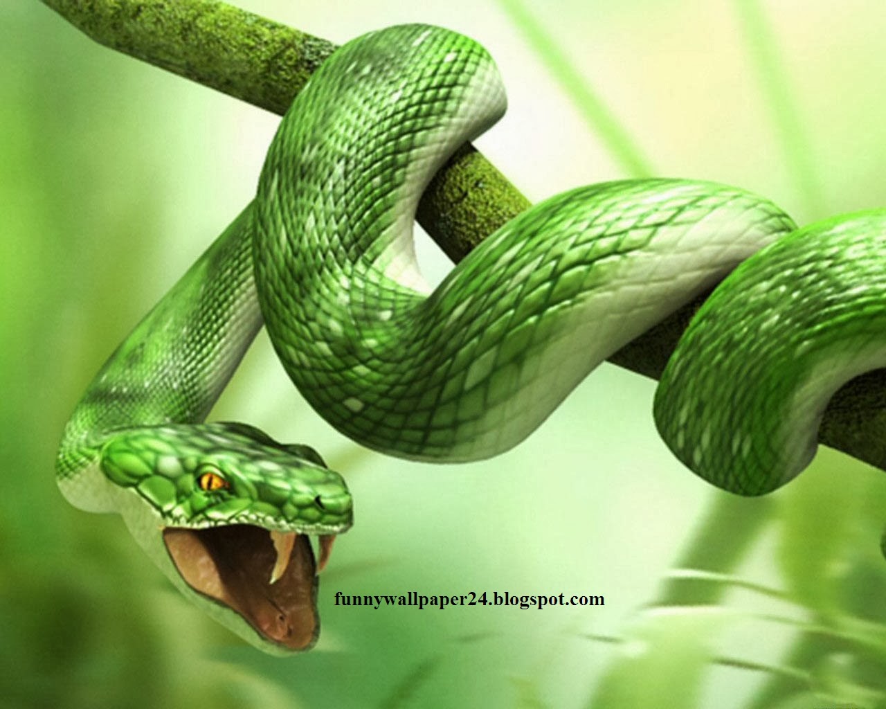 Free Live Animal Wallpaper - Hunting Snake By Judith Wright - HD Wallpaper 