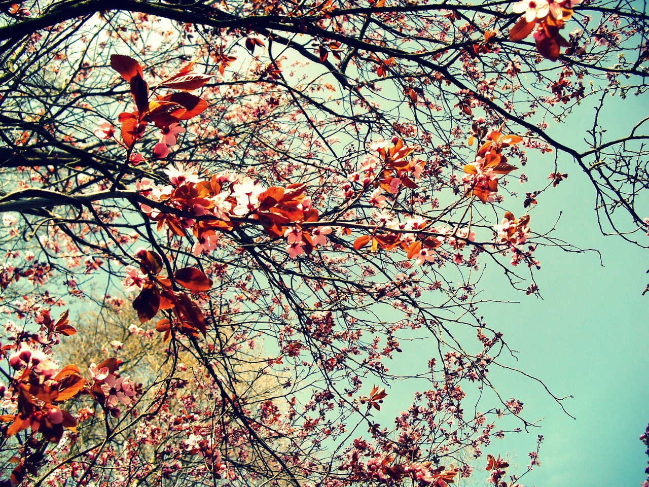 Hd Vintage Wallpaper Tumblr - 1280x960 Wallpaper Hd Vintage Wallpaper Tumblr - 1280x960 Wallpaper