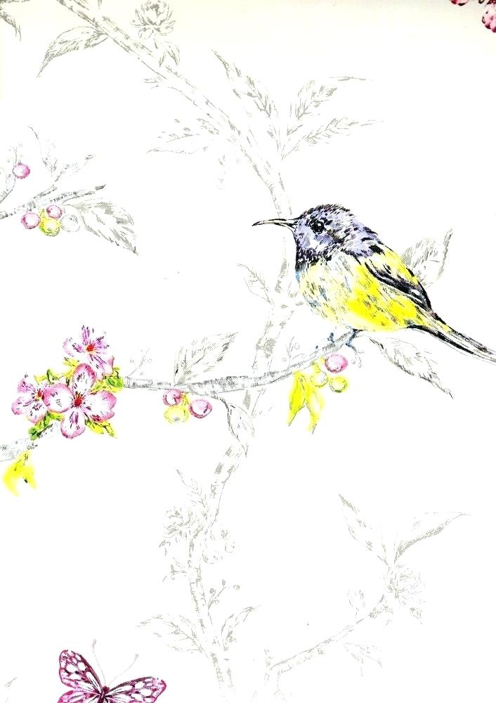 Magnolia Warbler - HD Wallpaper 