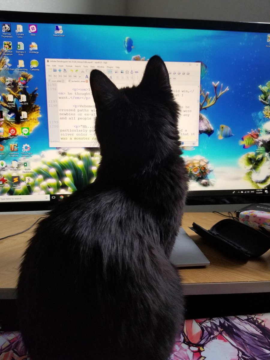 Domestic Short-haired Cat - HD Wallpaper 