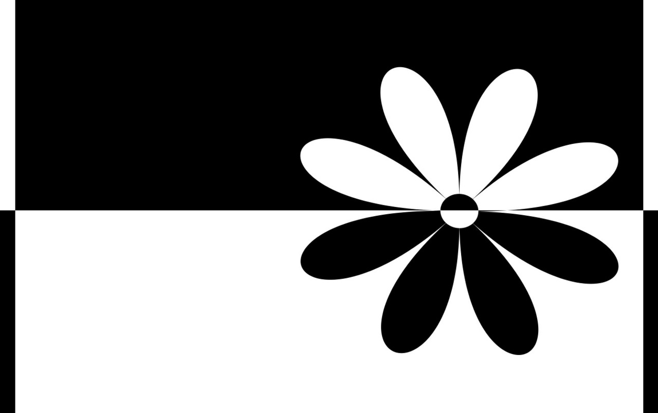 Black White Flower Wallpapers - Black And White Flower - HD Wallpaper 