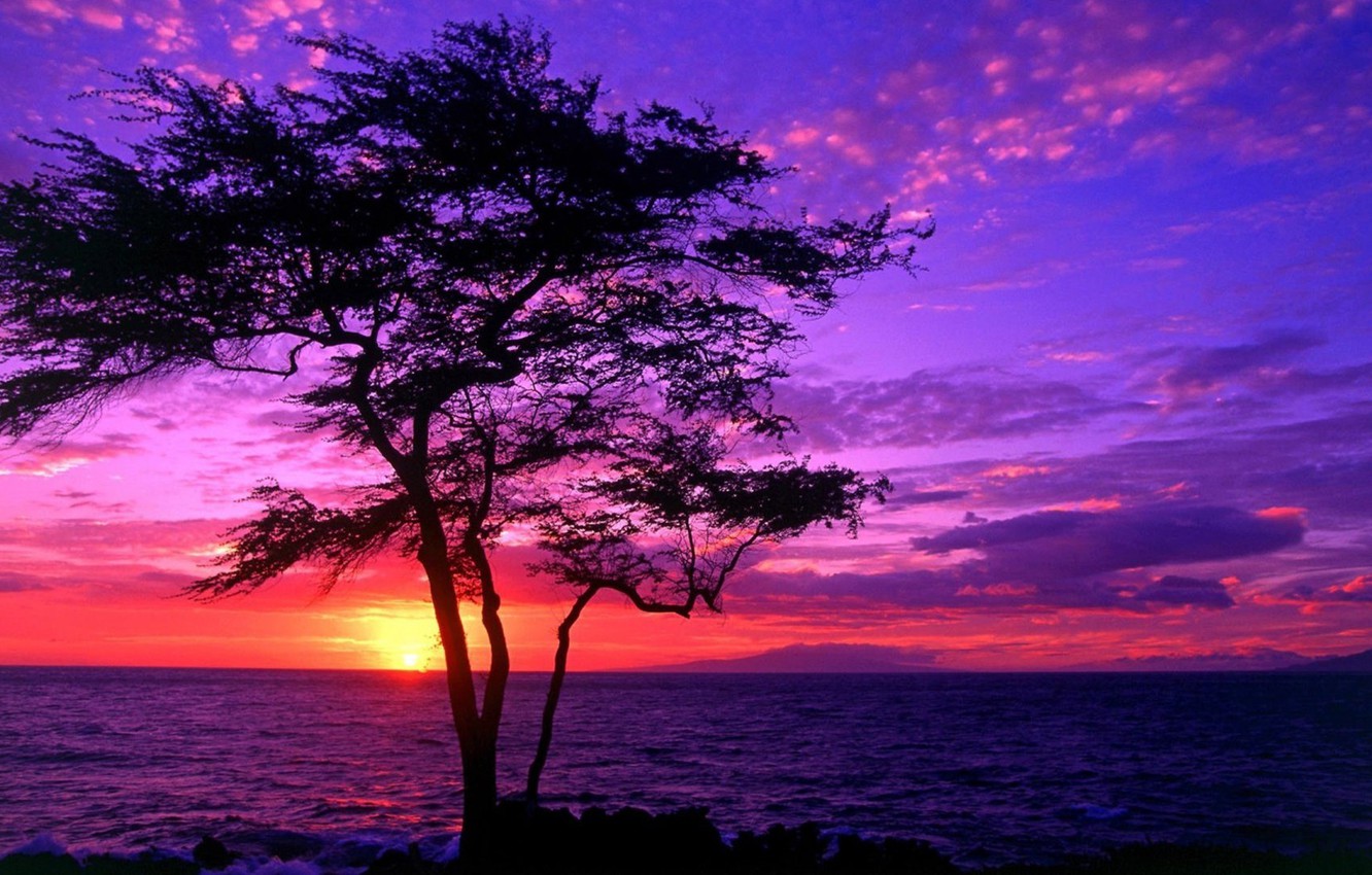 Photo Wallpaper Sea, Sunset, Tree, Beautiful Scenery - Beautiful Sunrise And Sunset - HD Wallpaper 