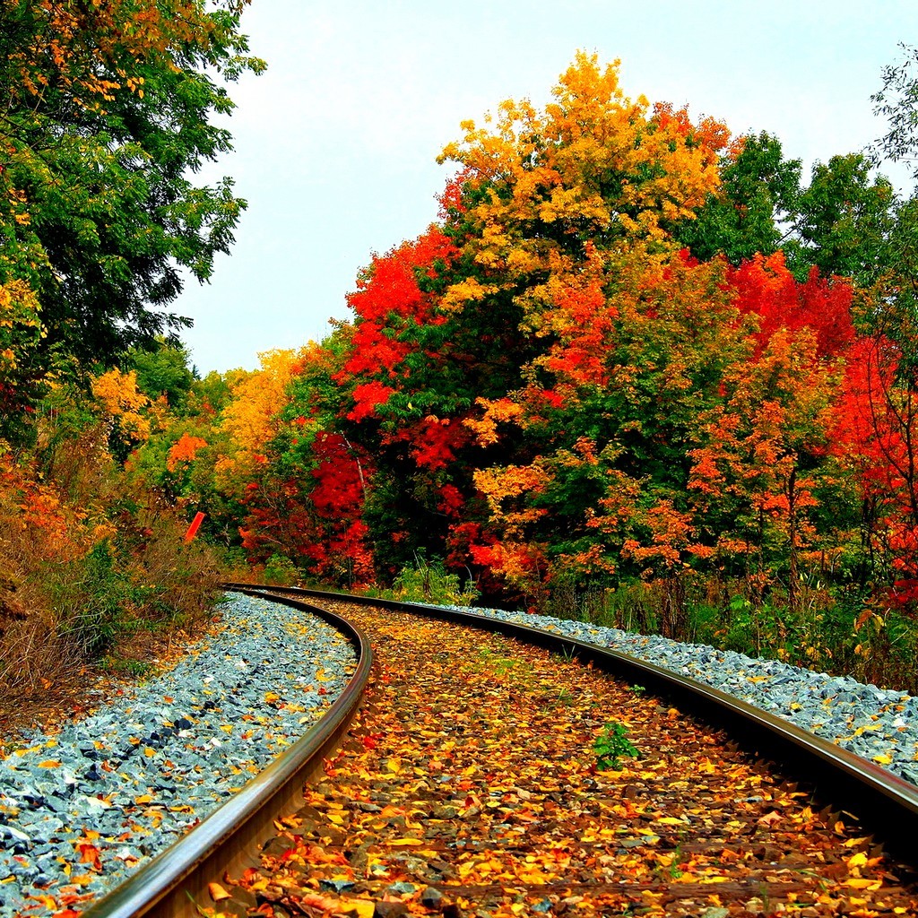 Beautiful Scenery Wallpapers-i18m1el - 1024x1024 Wallpaper Beautiful Scenery Wallpapers-i18m1el - 1024x1024 Wallpaper