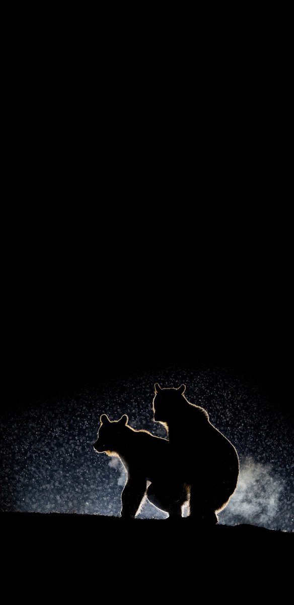 True Black Wallpaper Iphone - 584x1200 Wallpaper True Black Wallpaper Iphone - 584x1200 Wallpaper
