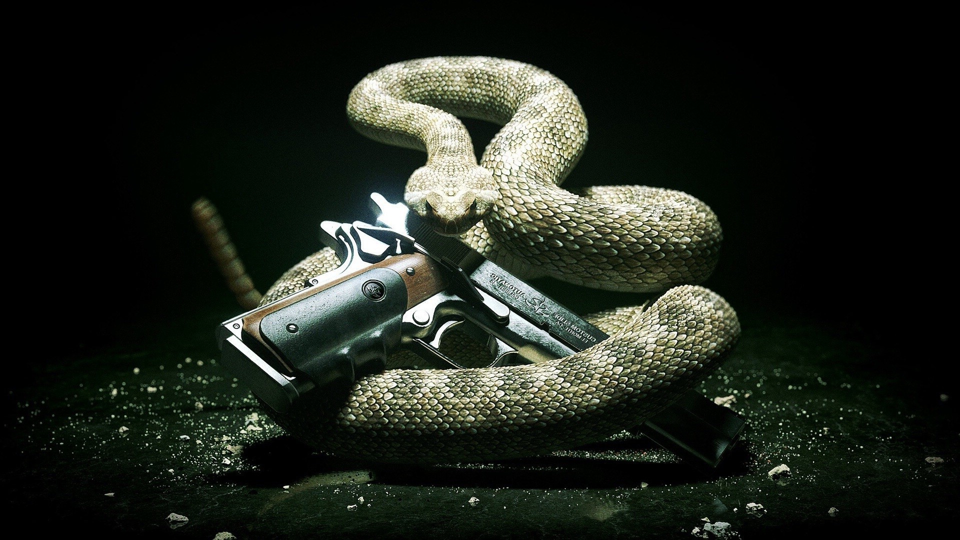 Snake And Gun Hd - HD Wallpaper 