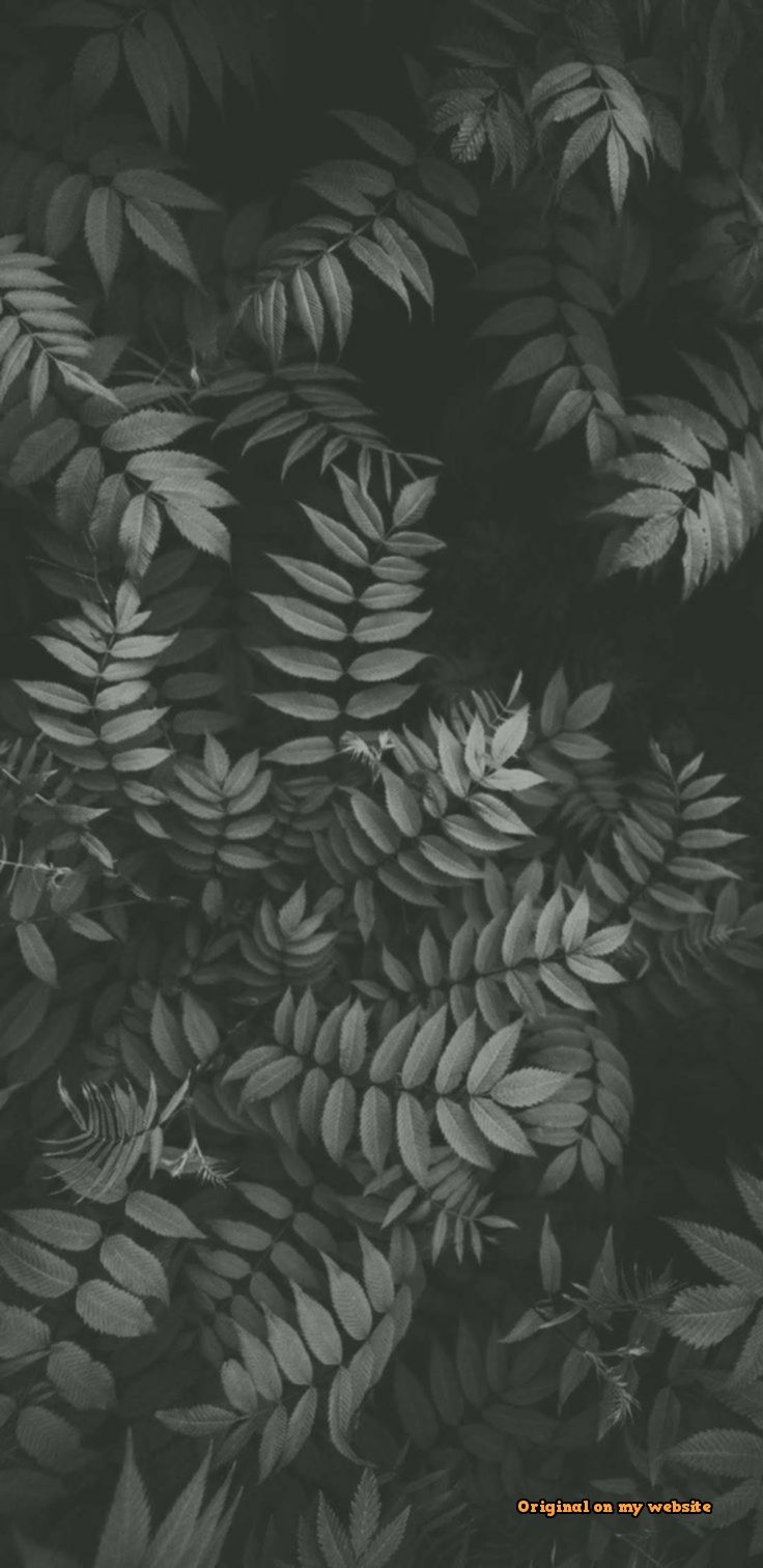 Panic Botanic Logo - HD Wallpaper 