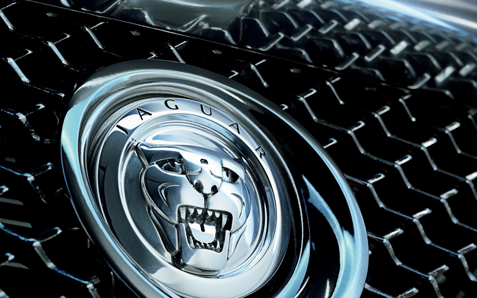 Jaguar Car Logo Wallpaper 58999 
 Data Src Jaguar Wallpapers - Jaguar Logo Hd Wallpapers 1080p - HD Wallpaper 