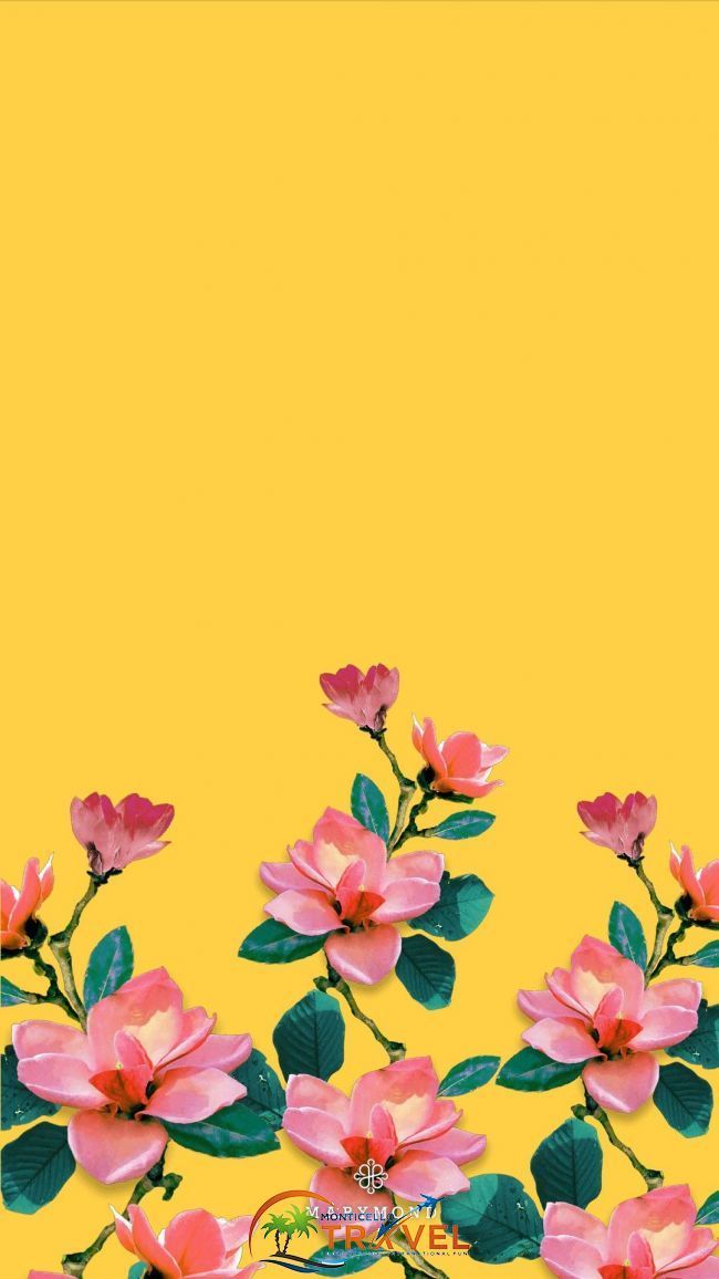 Flowers - HD Wallpaper 