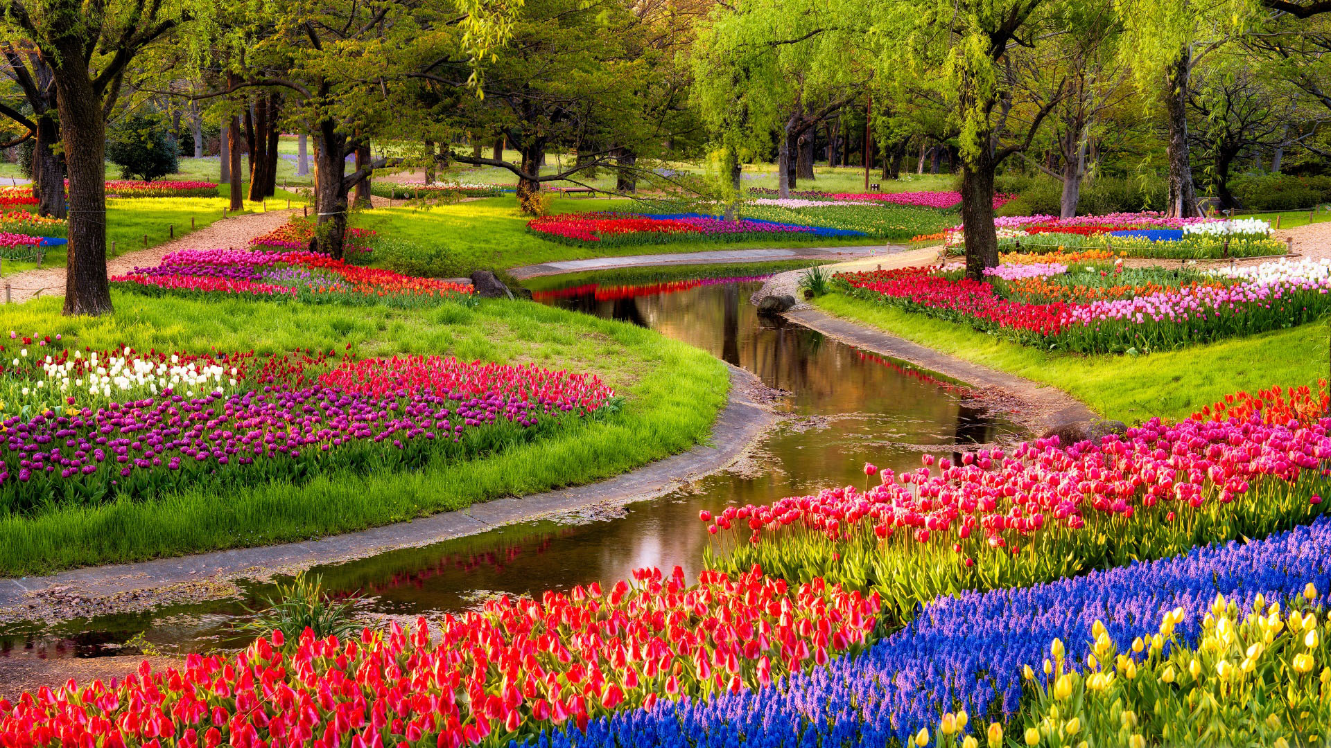 Beautiful Spring Garden Wallpaper - Flower Garden - HD Wallpaper 