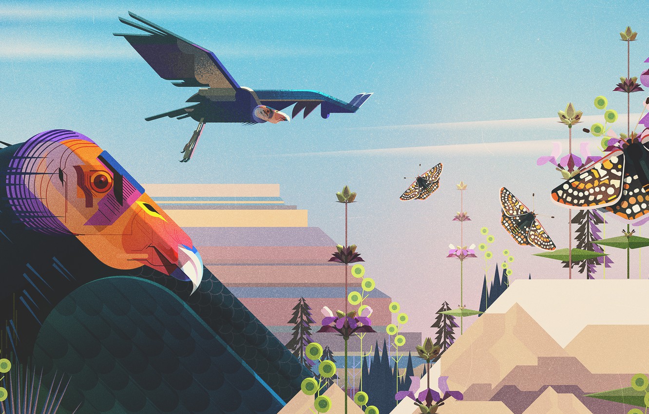 Photo Wallpaper Minimalism, Butterfly, Bird, Birds, - HD Wallpaper 