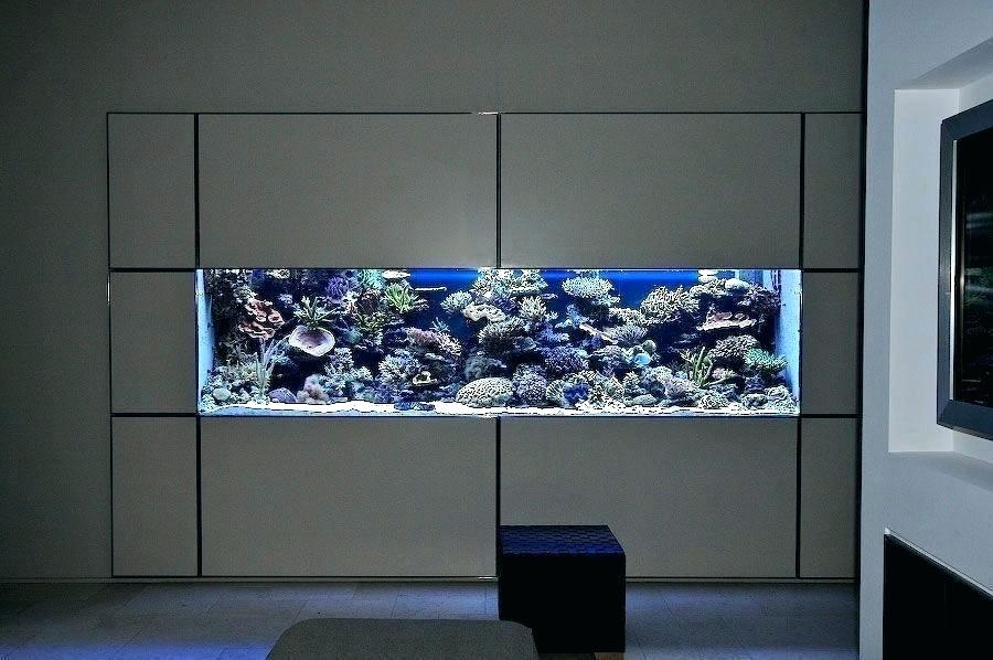 Built In Aquarium Paper Wall For Sale Live Wallpaper - Reef Tank Built Into Wall - HD Wallpaper 