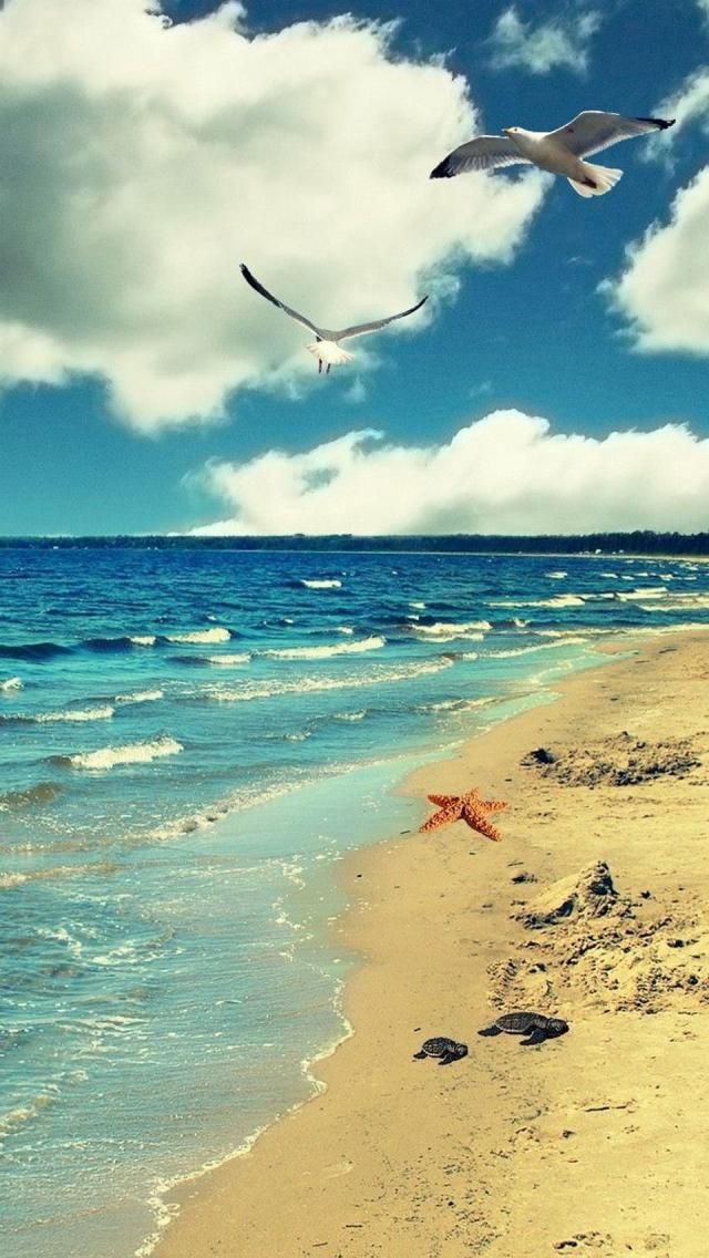 New Buildings In Szczecin's Old Town - HD Wallpaper 