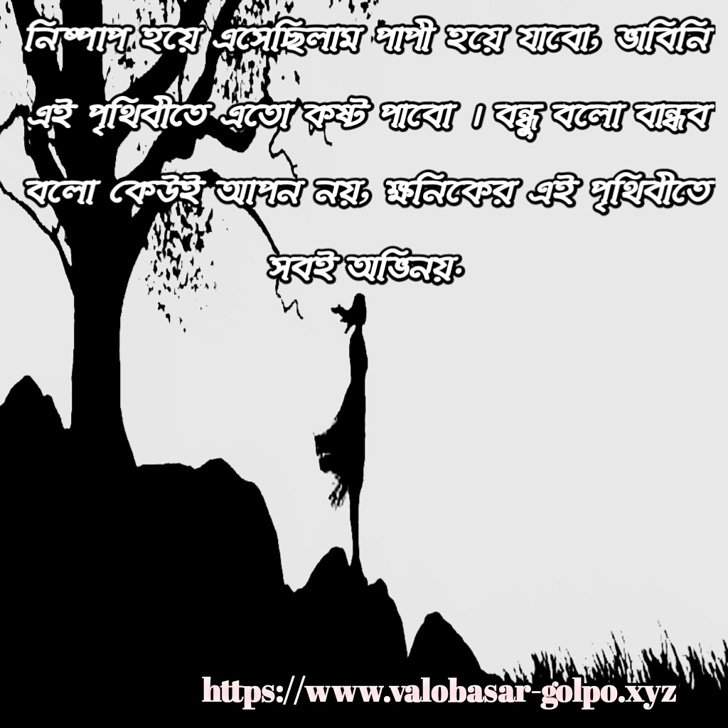 Bangla Koster Picture ,valobashar Koster Photo ,bengali - Silhouette - HD Wallpaper 