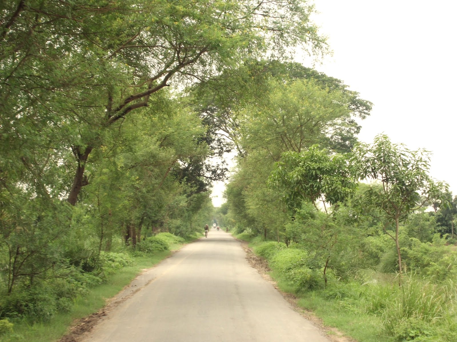 Nature Beautiful Wallpaper With Street - Full Hd Bangladesh Natural - 1600x1200 Wallpaper Nature Beautiful Wallpaper With Street - Full Hd Bangladesh Natural - 1600x1200 Wallpaper