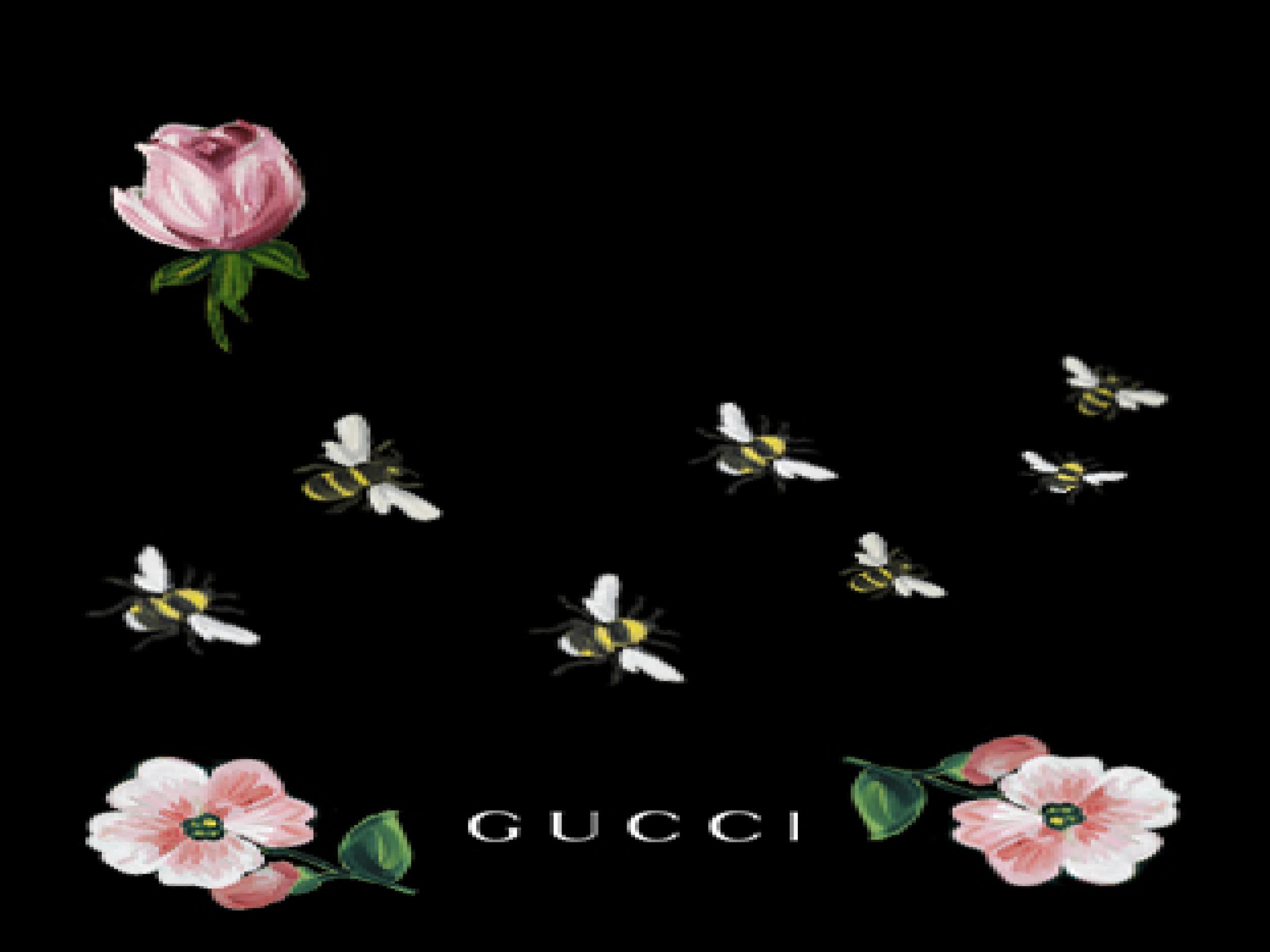 Gucci Wallpaper Hd - HD Wallpaper 