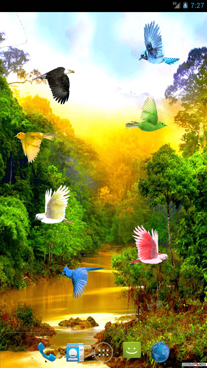 Hd Live Nature Bird Wallpaper Down - 720x1280 Wallpaper 
