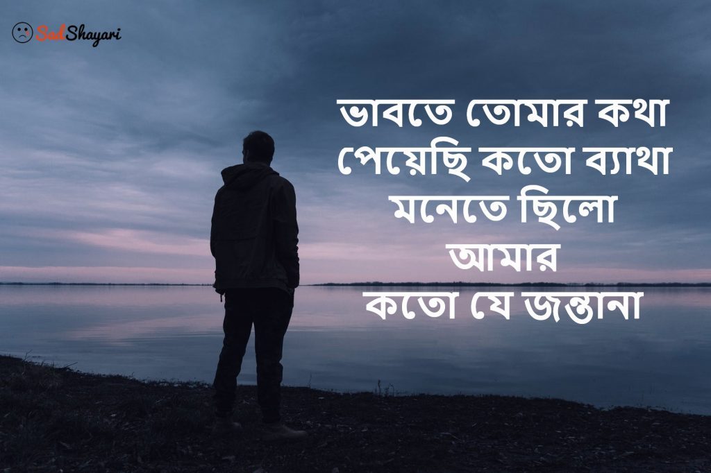 Emotional Bengali Sad Shayari - 1024x682 Wallpaper 