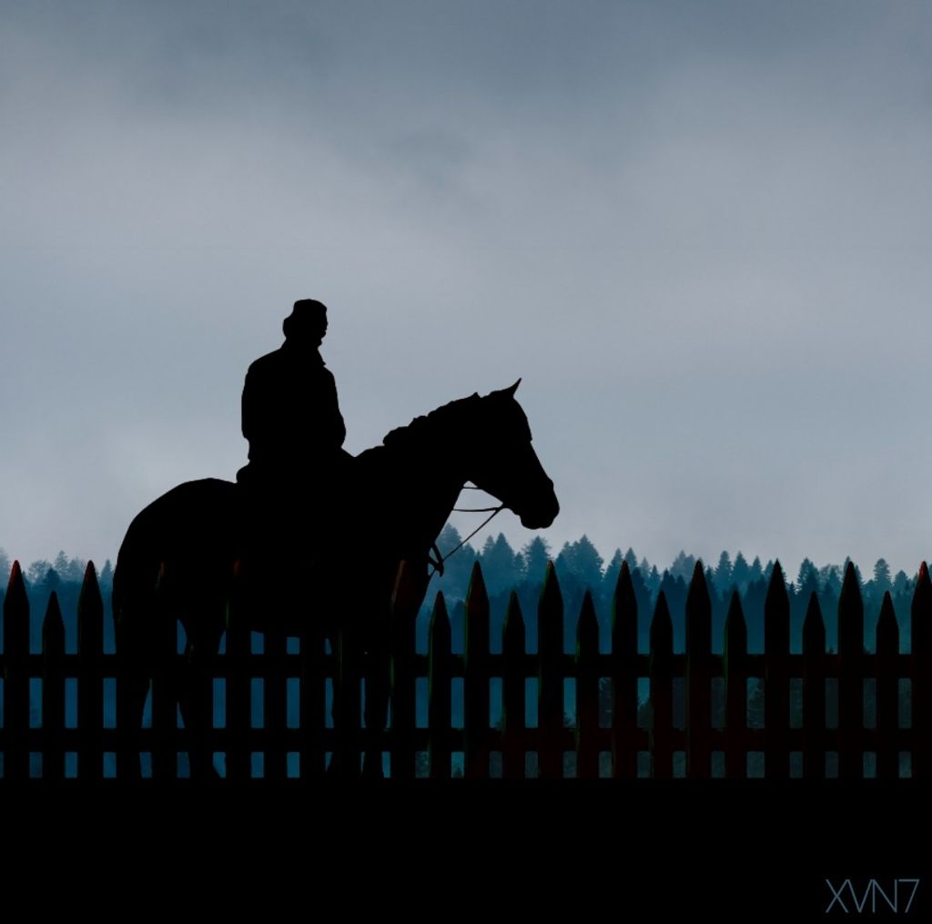 Xvn7 - Stallion - HD Wallpaper 