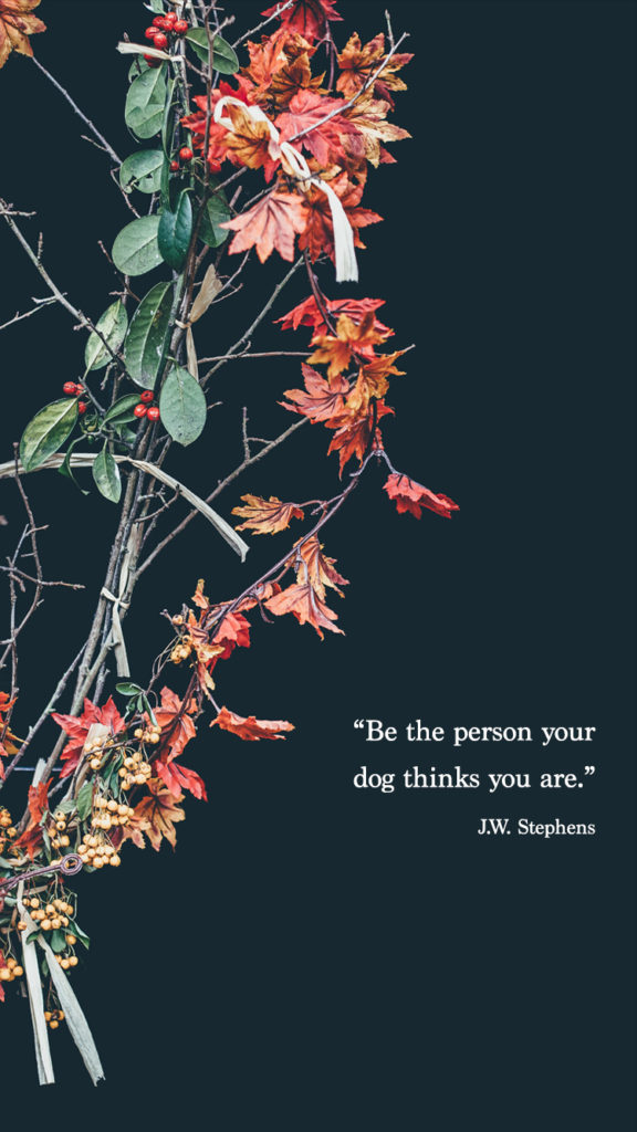 Download Free Wallpapers On Www - Phone Wallpaper February 2019 - HD Wallpaper 