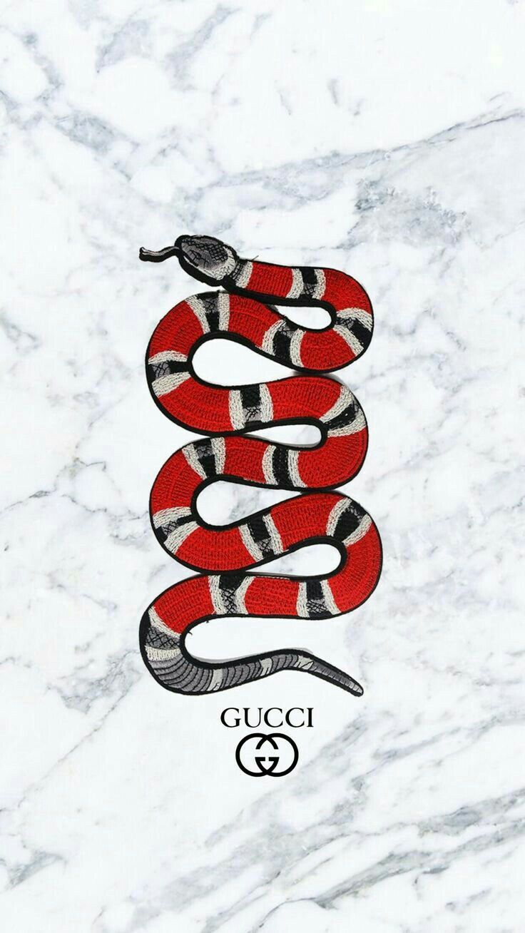 Gucci Wallpaper Hd - HD Wallpaper 