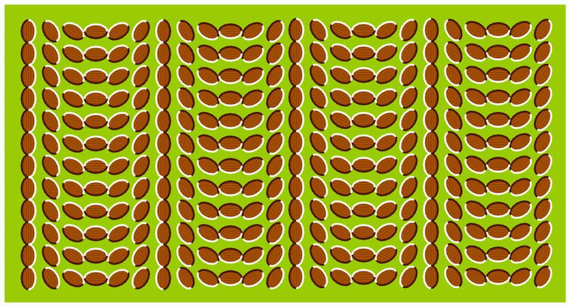 Peanut Illusion - 1116x600 Wallpaper Peanut Illusion - 1116x600 Wallpaper