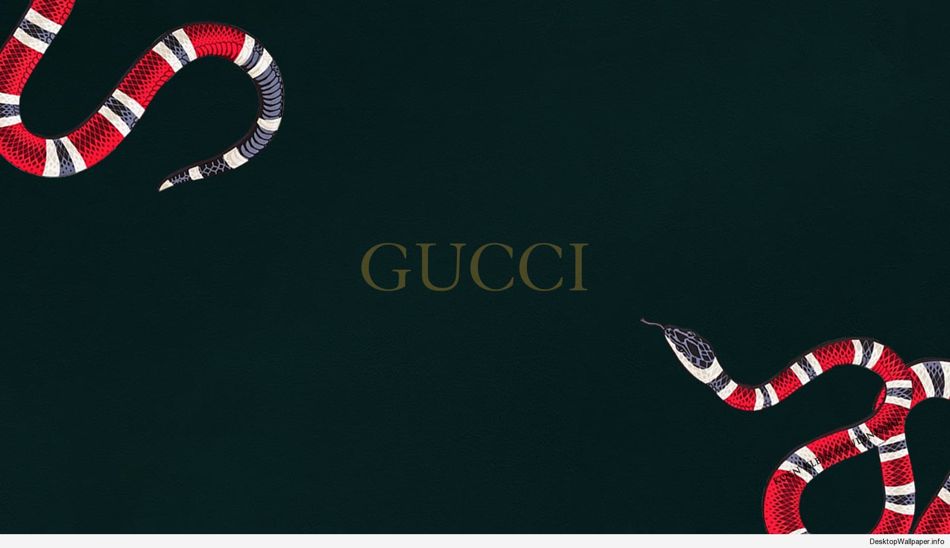 Gucci Wallpaper Iphone - Gucci Logo - HD Wallpaper 