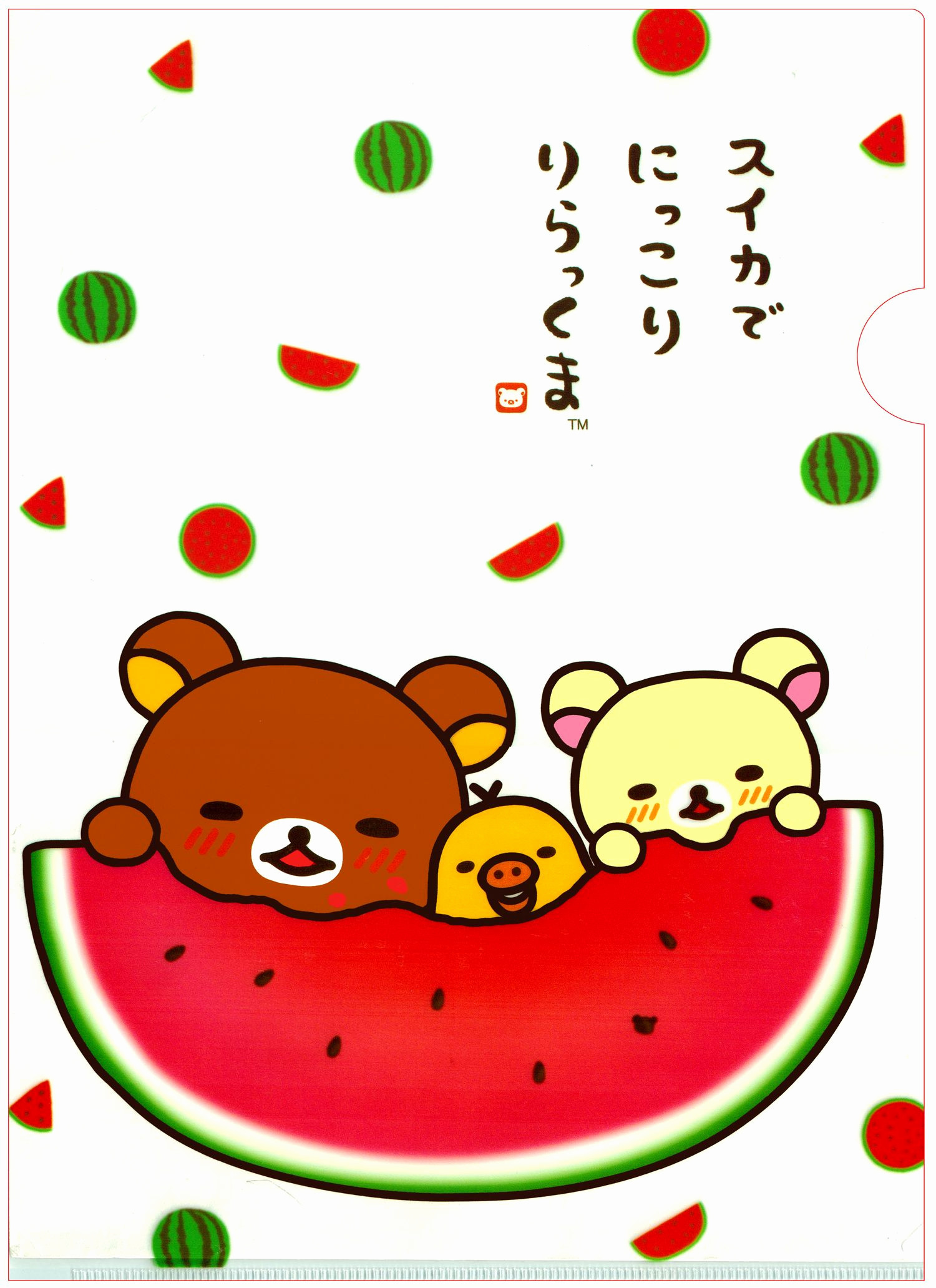 1500x2063, Watermelon Cute Girly Wallpaper Iphone San - Rilakkuma Wallpaper Iphone - HD Wallpaper 