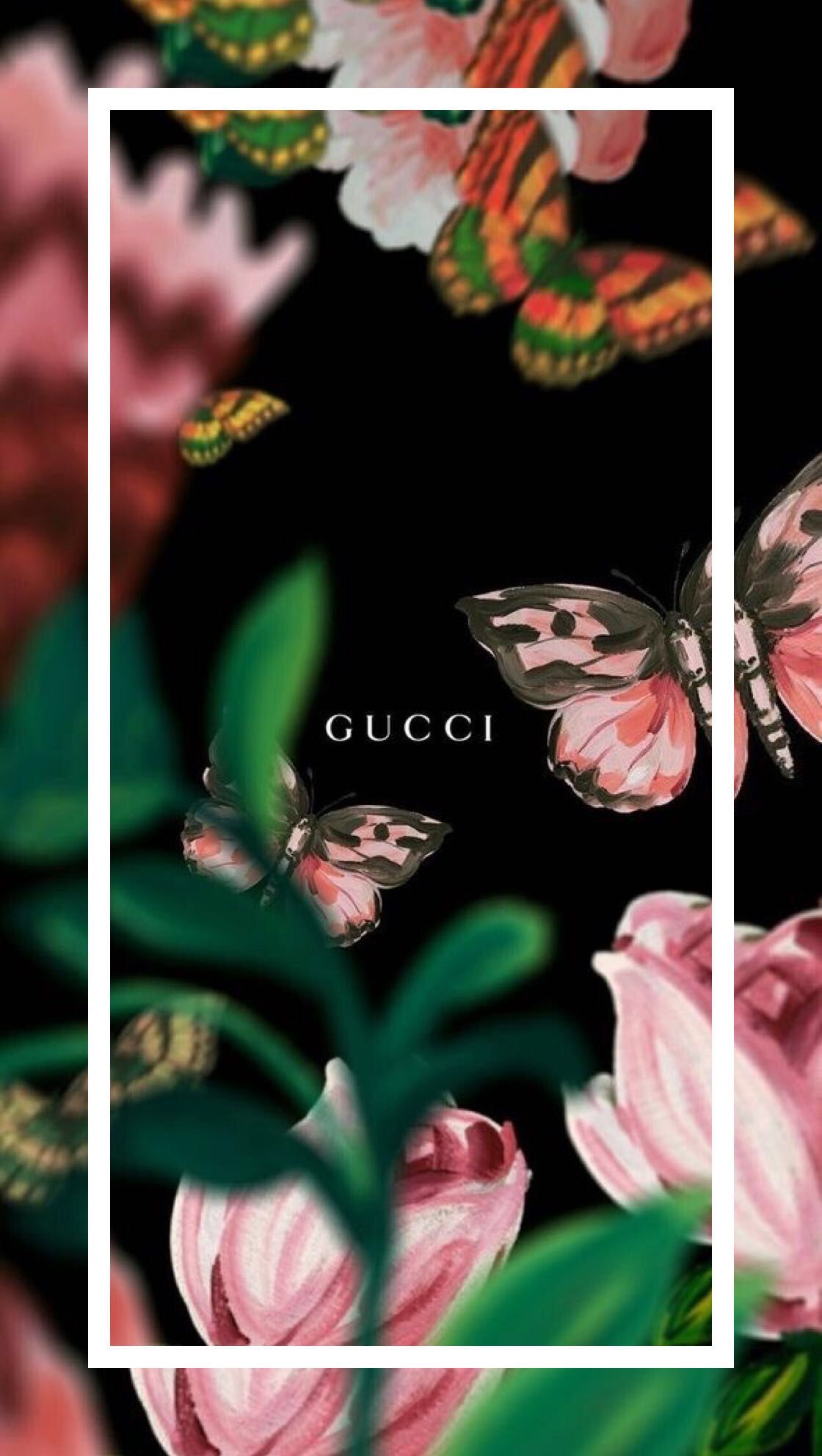 Cute Wallpaper Gucci - HD Wallpaper 