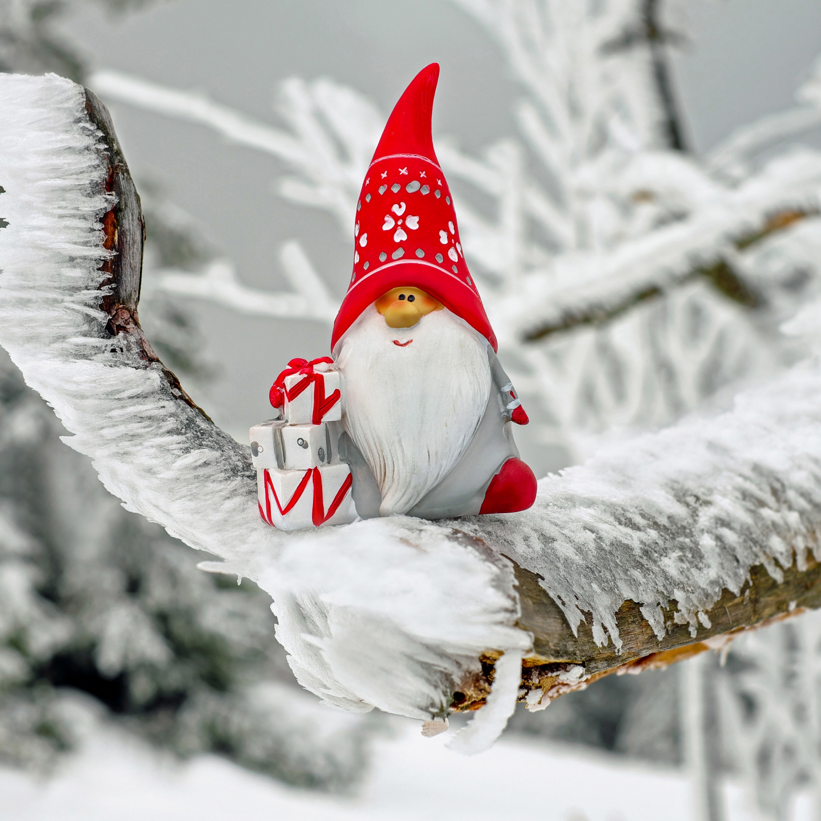 Wallpaper Santa Claus, Christmas, Snow, Frost - Christmas Snow Wallpaper Ipad Pro - 2780x2780 Wallpaper Wallpaper Santa Claus, Christmas, Snow, Frost - Christmas Snow Wallpaper Ipad Pro - 2780x2780 Wallpaper